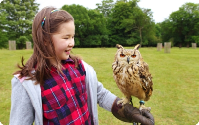 Build_Better_Comm_testimonial